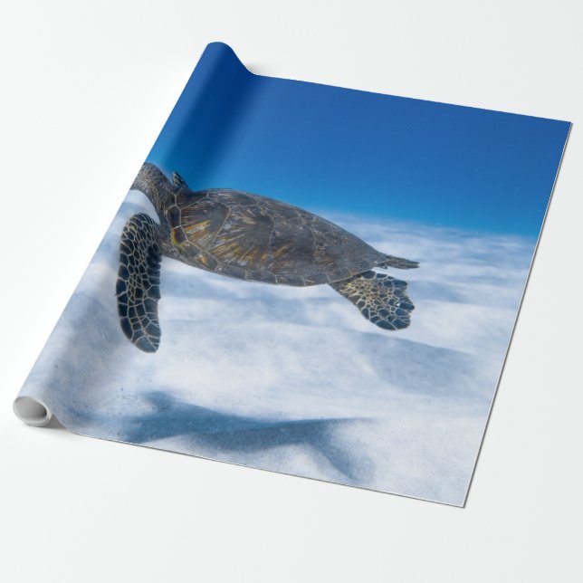 underbar Aquatic Turtle Presentpapper (Utrullad)