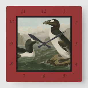 Underbar Auk - John James Audubon's Birds of Ameri Fyrkantig Klocka