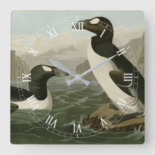 Underbar Auk - John James Audubon's Birds of Ameri Fyrkantig Klocka