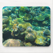 Underbar barriär Reef Coral - #2