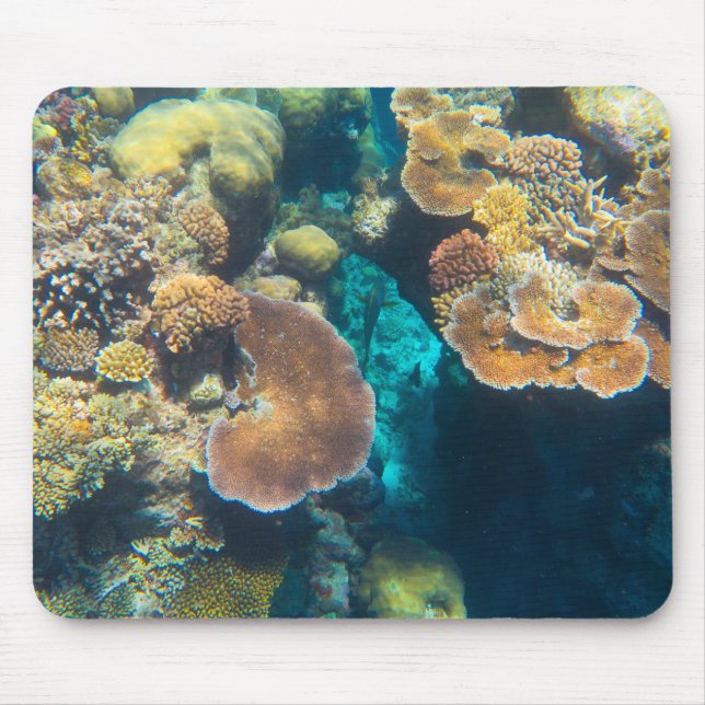 Underbar barriär Reef Coral - #3 Musmatta (Framsidan)