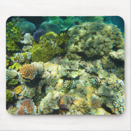 Underbar barriär Reef Coral - #5 Musmatta