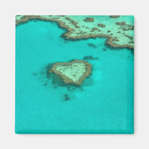Underbar barriärrev, Australien hjärtakorall Magnet