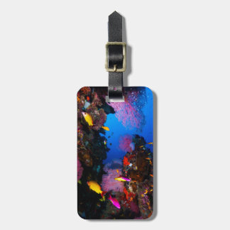 Underbar barriärrevbagagemärkre bagagebricka