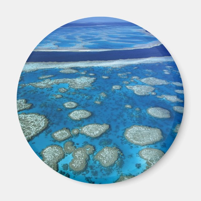 Underbar Barrier Reef Magnet (Framsidan)