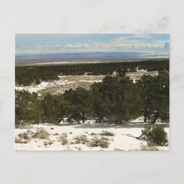 Underbar bas vykort (Framsida)