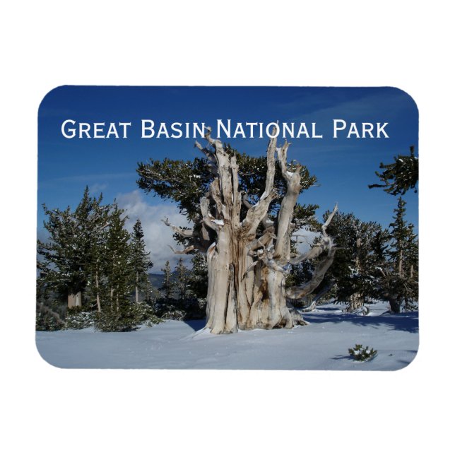 Underbar Basin National Park Magnet (Horisontell)