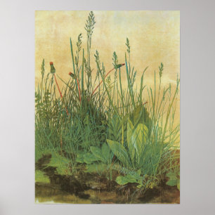 Underbar Biet av Turf av Albrecht Durer, Vintage A Poster