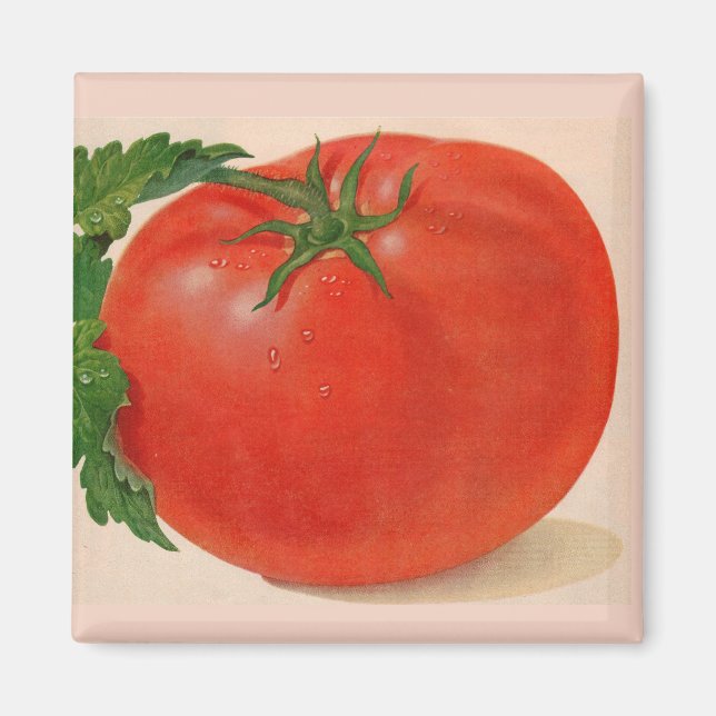underbar BIG juicy tomato Magnet (Framsidan)