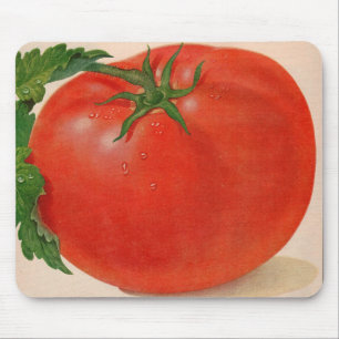 underbar BIG juicy tomato Musmatta