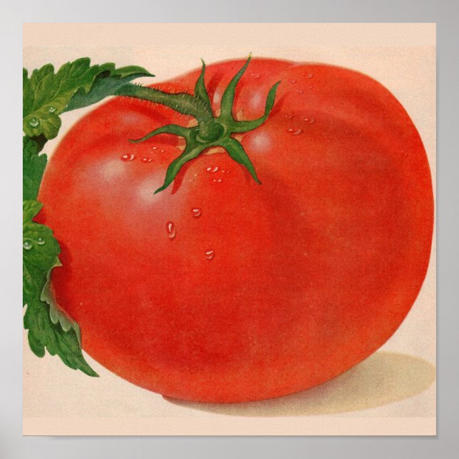underbar BIG juicy tomato Poster (Framsidan)