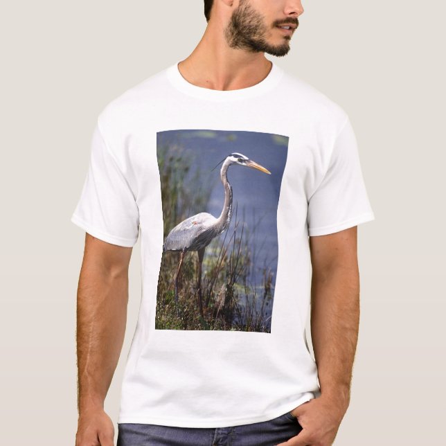Underbar björnfågel av arten Blue Heron vatten Tee (Framsida)