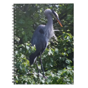 Underbar blå Heron-bärbar dator Anteckningsbok