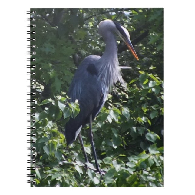 Underbar blå Heron-bärbar dator Anteckningsbok (Framsidan)