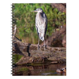 Underbar blå Heron på Journal i loggfotboken Anteckningsbok
