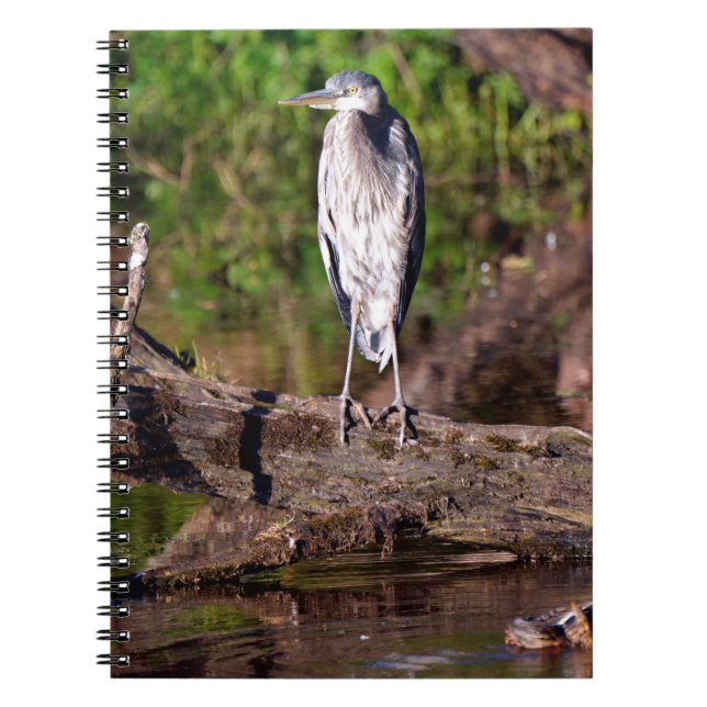Underbar blå Heron på Journal i loggfotboken Anteckningsbok (Framsidan)