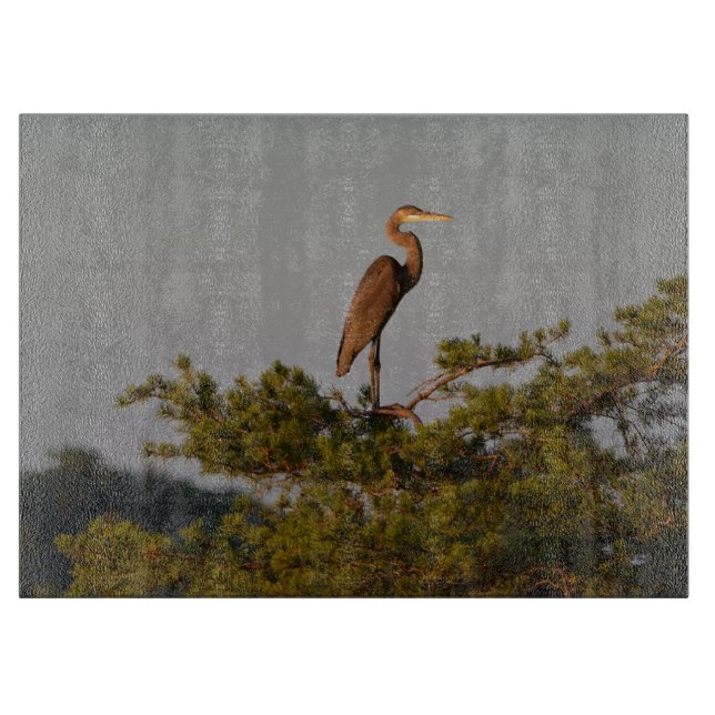 Underbar blå Heron på Träd överst (Framsidan)