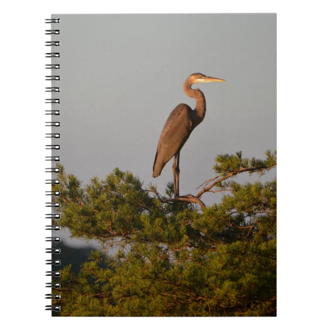 Underbar blå Heron på Träd överst Anteckningsbok (Framsidan)