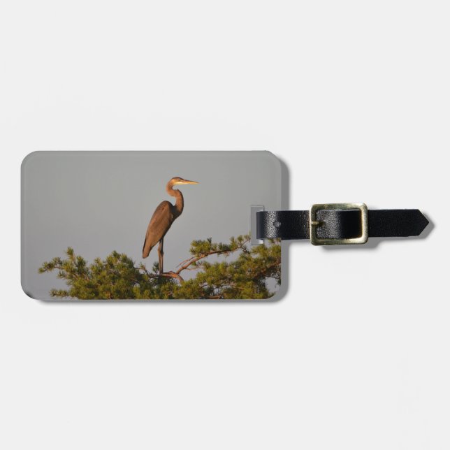 Underbar blå Heron på Träd överst Bagagebricka (Horisontell Framsida)