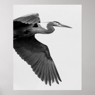 Underbar blå Heron Skörd, svart och vitt Poster