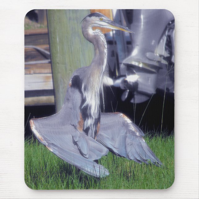 Underbar blå Heron solbad Musmatta (Framsidan)