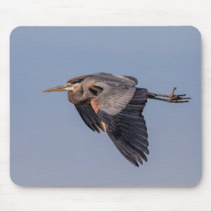Underbar blå Heron under flygning Musmatta