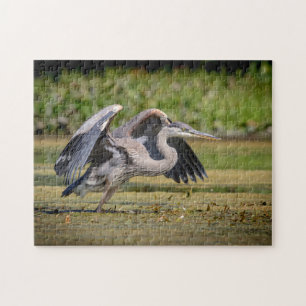 Underbar blå Heron under flygning Pussel