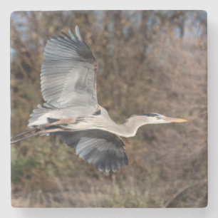 Underbar blå Heron under flygning Stenunderlägg