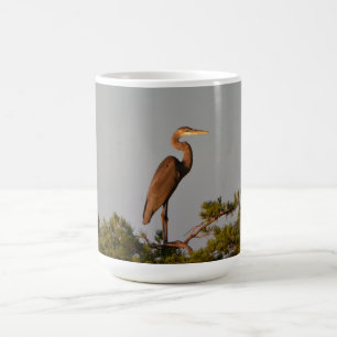 Underbar blåhavsfågel av vildlevande fågelart kaffemugg