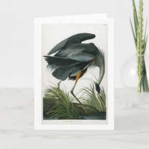 Underbar blåttHeron, John James Audubon Kort