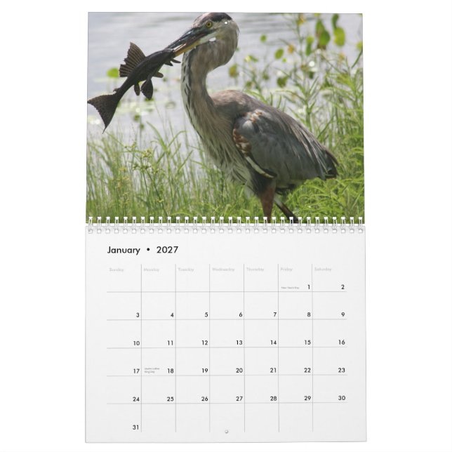 UNDERBAR BLÅTTHERON KALENDER (Jan 2027)