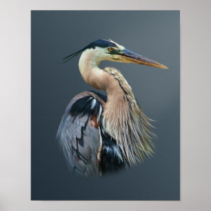 Underbar blåttHeron Poster