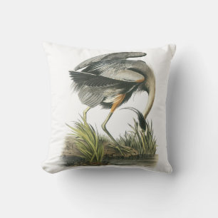 Underbar blåttHeron vid Audubon Kudde