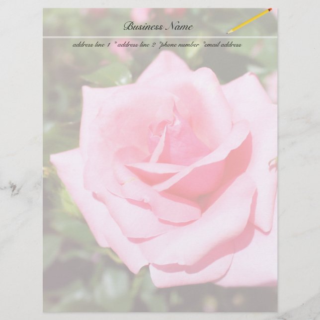 underbar blomma från rosa ros med söta hjärtan (Framsida)