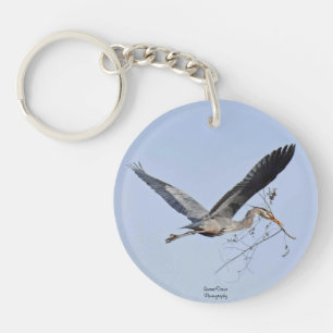 Underbar Blue Heron