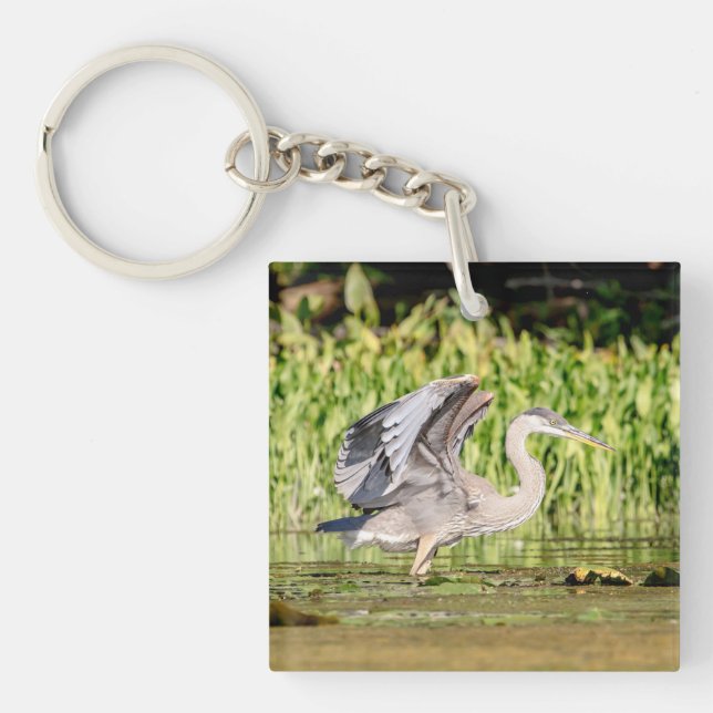 Underbar Blue Heron (Framsidan)
