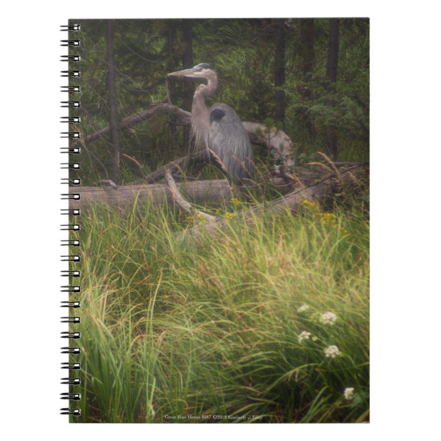 Underbar Blue Heron 8917 Anteckningsbok (Framsidan)
