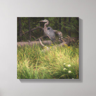 Underbar Blue Heron 8917 Canvastryck