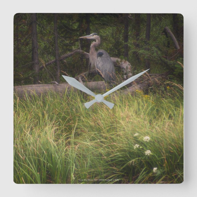 Underbar Blue Heron 8917 Fyrkantig Klocka (Framsida)