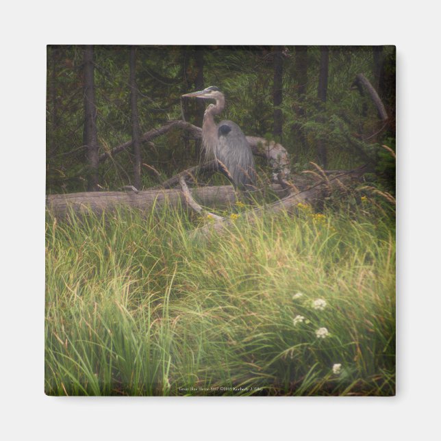 Underbar Blue Heron 8917 Magnet (Framsidan)