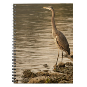 Underbar Blue Heron Anteckningsbok