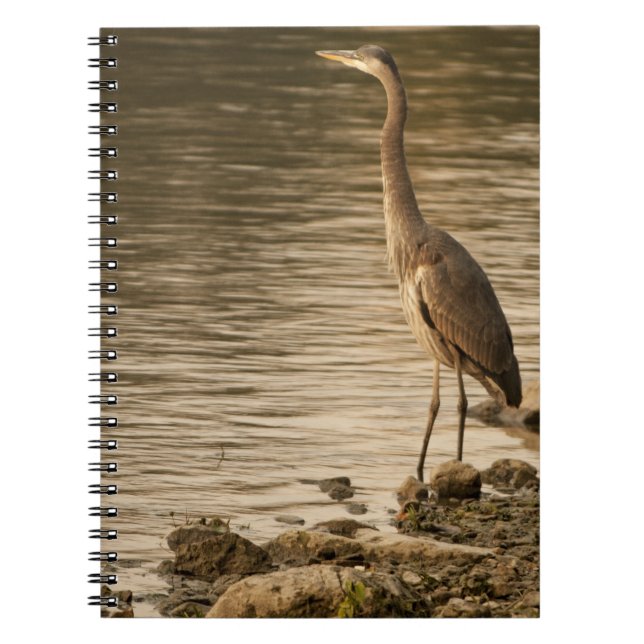 Underbar Blue Heron Anteckningsbok (Framsidan)