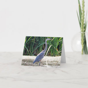 Underbar Blue Heron Anteckningskort