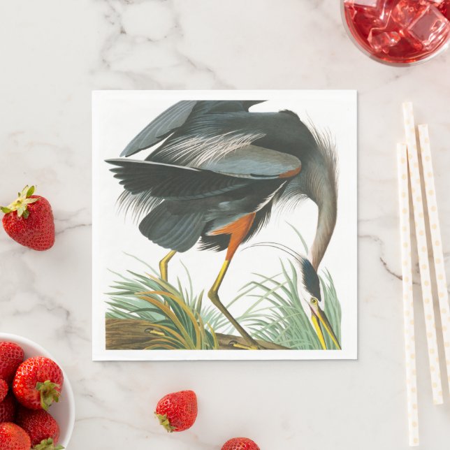 Underbar Blue Heron av John James Audubon Pappersservett (Insitu)