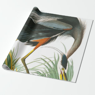 Underbar Blue Heron av John James Audubon Presentpapper