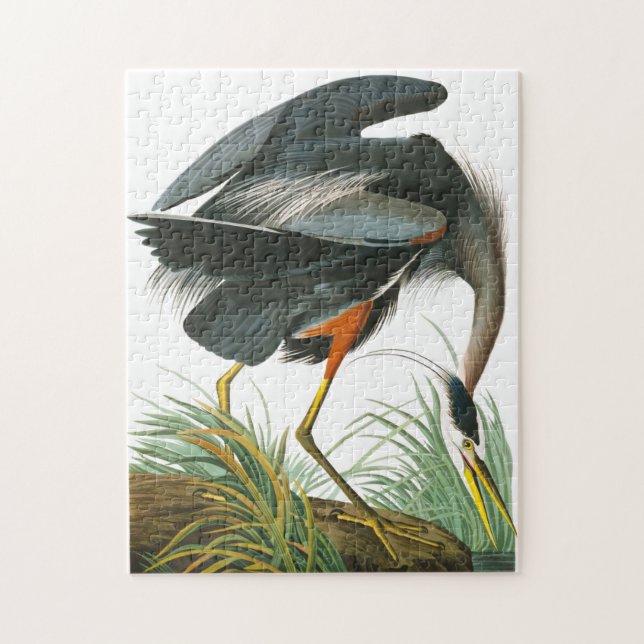Underbar Blue Heron av John James Audubon Pussel (Vertikal)
