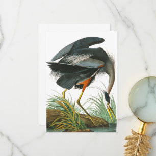 Underbar Blue Heron av John James Audubon Tack Kort