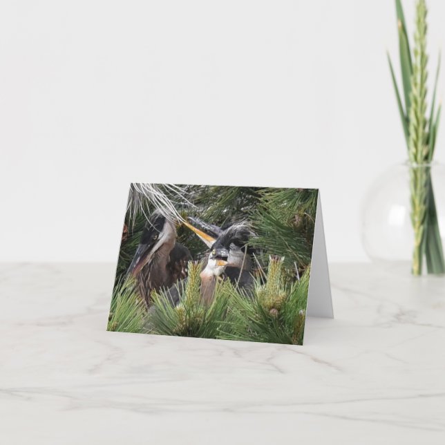 Underbar Blue Heron Baby Kort (Framsida)