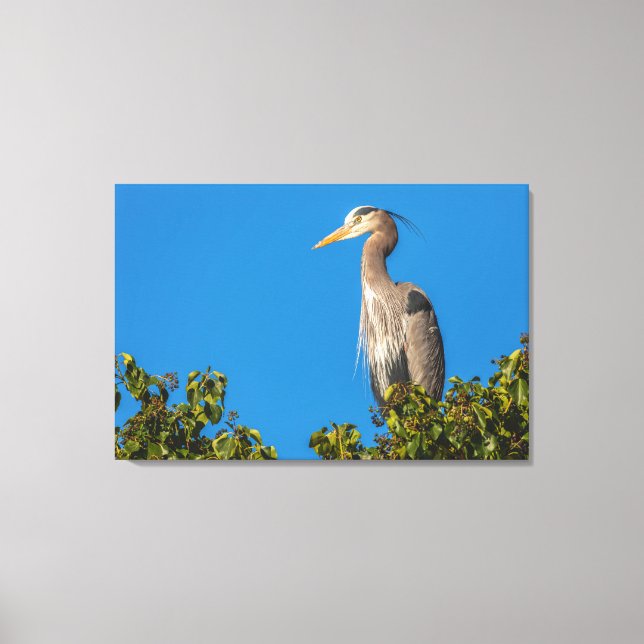 Underbar Blue Heron Canvastryck (Framsida)