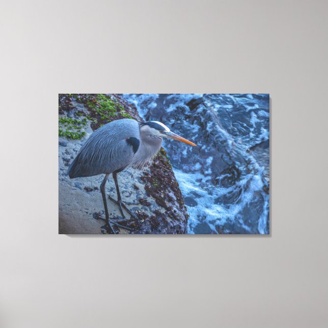 Underbar Blue Heron Canvastryck (Framsida)